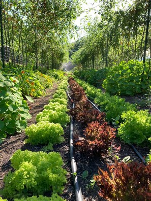 المنطقة المحيطة بالمنشأة