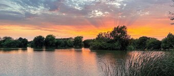 Woodland House - UK48581