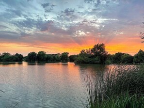 Miscellaneous - Woodland House - UK48581 (Rochford)