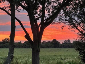 Miscellaneous - Woodland House - UK48581 (Rochford)