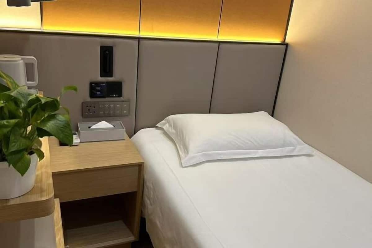A hotel room with a bed, bedside table, a plant, a control panel, and a wall-mounted light.