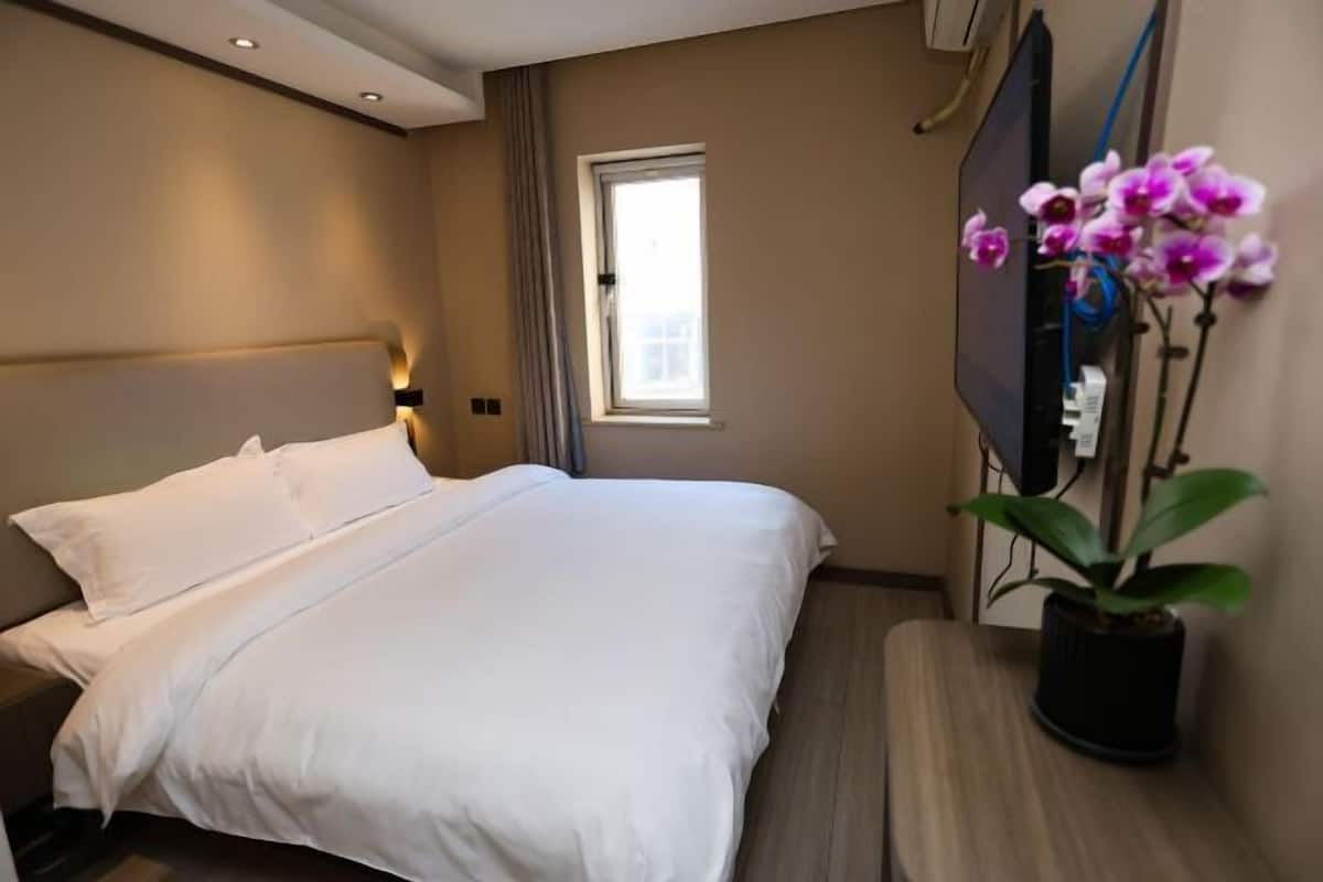 Una habitación de hotel con cama, televisión, ventana y una planta en maceta.
