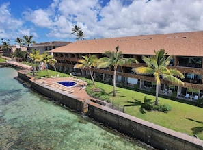 A resort with a pool, palm trees, and a view of the ocean.