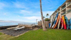 Une terrasse donnant sur la plage, avec des chaises longues, un palmier et des kayaks, le tout adossé à un bâtiment.
