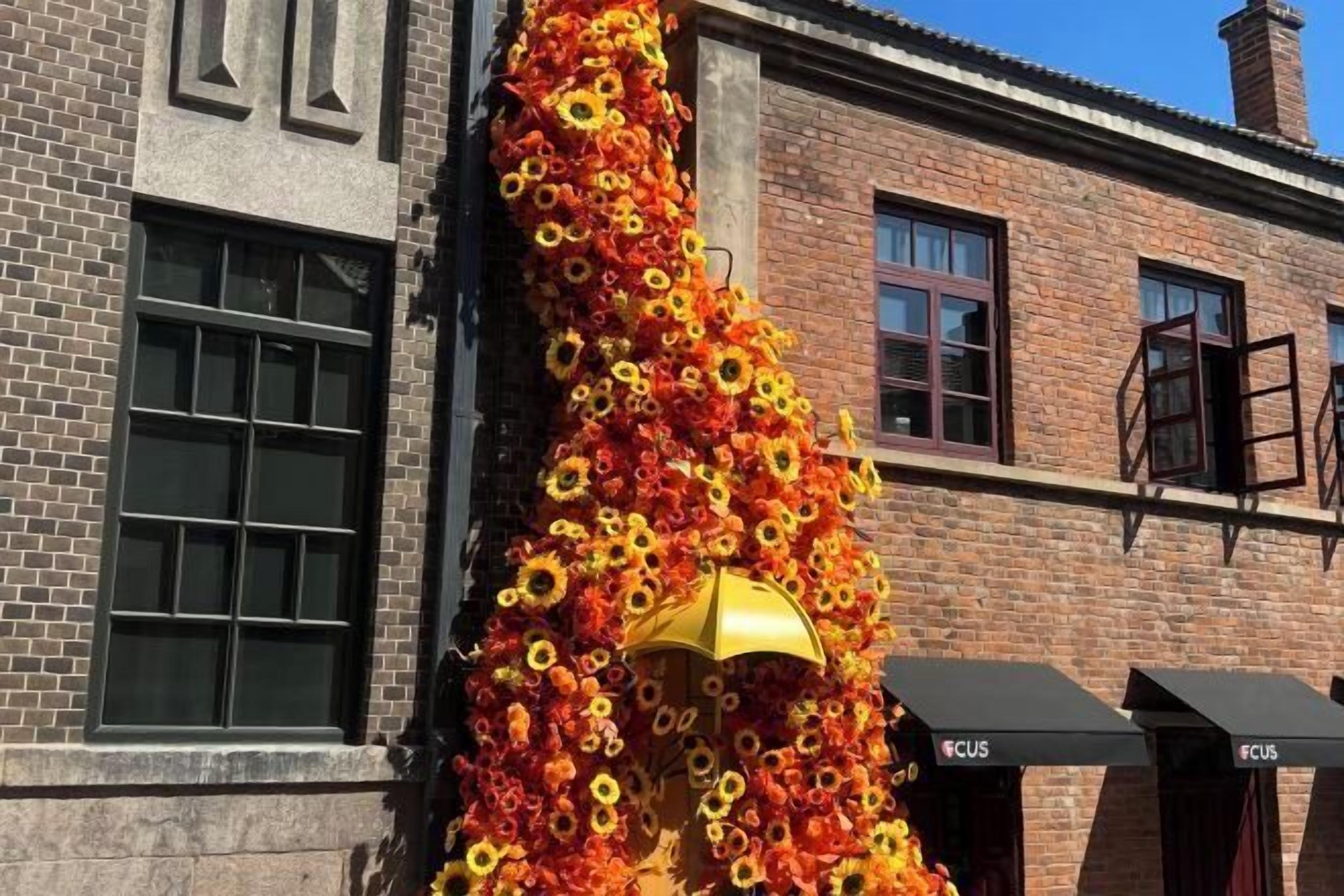 Detalle del exterior