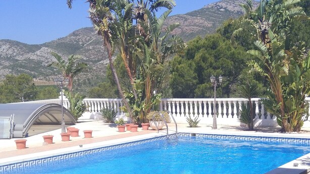 A swimming pool with a clear blue water, surrounded by potted plants and a white balustrade. - Apartamento Deluxe (Oropesa del Mar)
