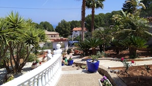 A garden with various potted plants and a white railing. - Apartamento Deluxe (Oropesa del Mar)