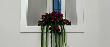 A small window with a white frame, a blue curtain, and a hanging plant with long green leaves and pink flowers.