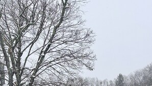 Lumipeitteinen mökki, jossa on puinen kuisti ja aidattu piha.