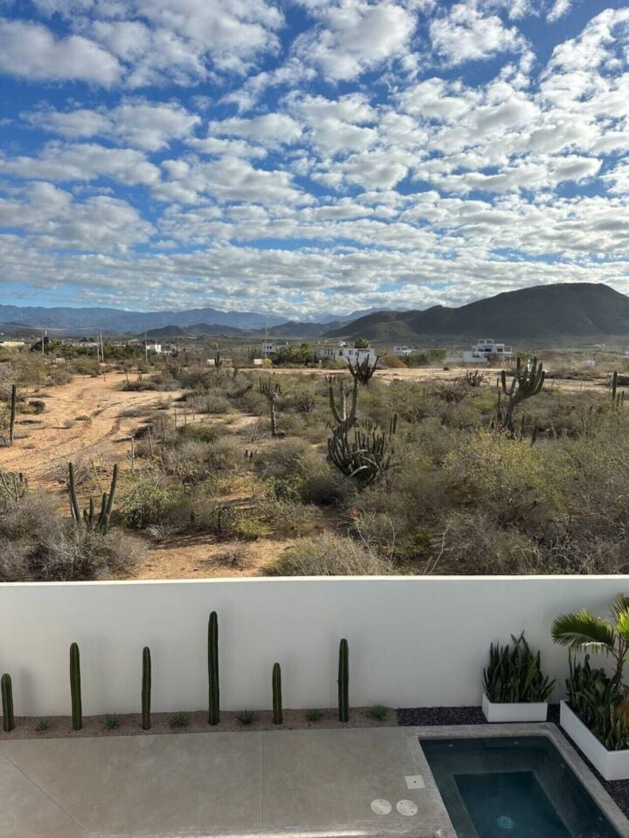 Paisaje desértico con cactus y una montaña al fondo.
