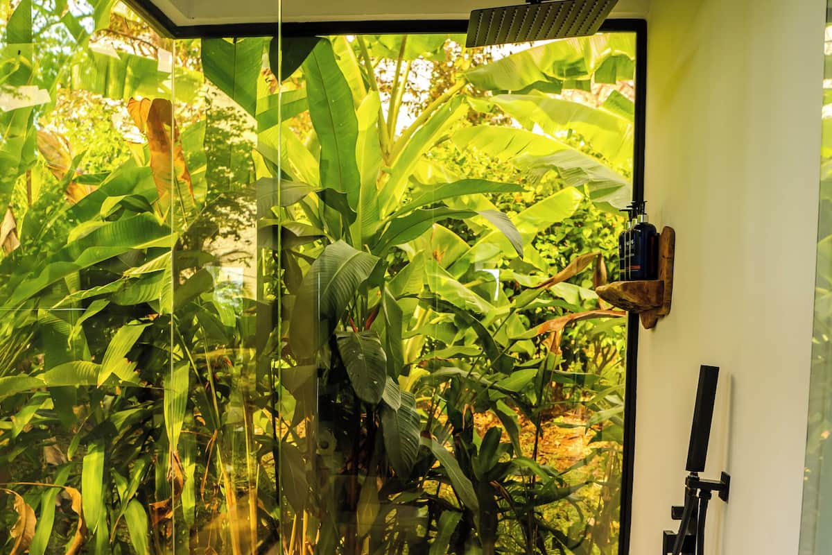 Een glazen douchecabine met houten vloer, omgeven door weelderige begroeiing.