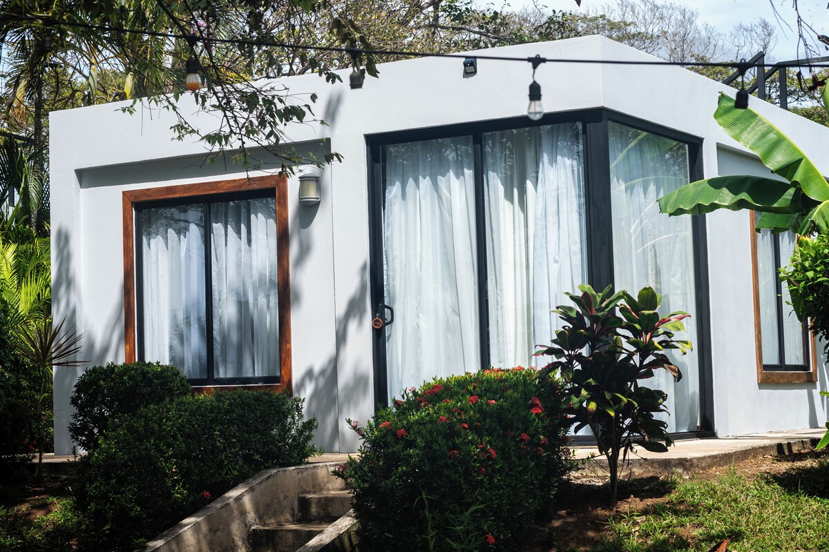 A modern house with large windows, a concrete pathway, and a small garden with red flowers.