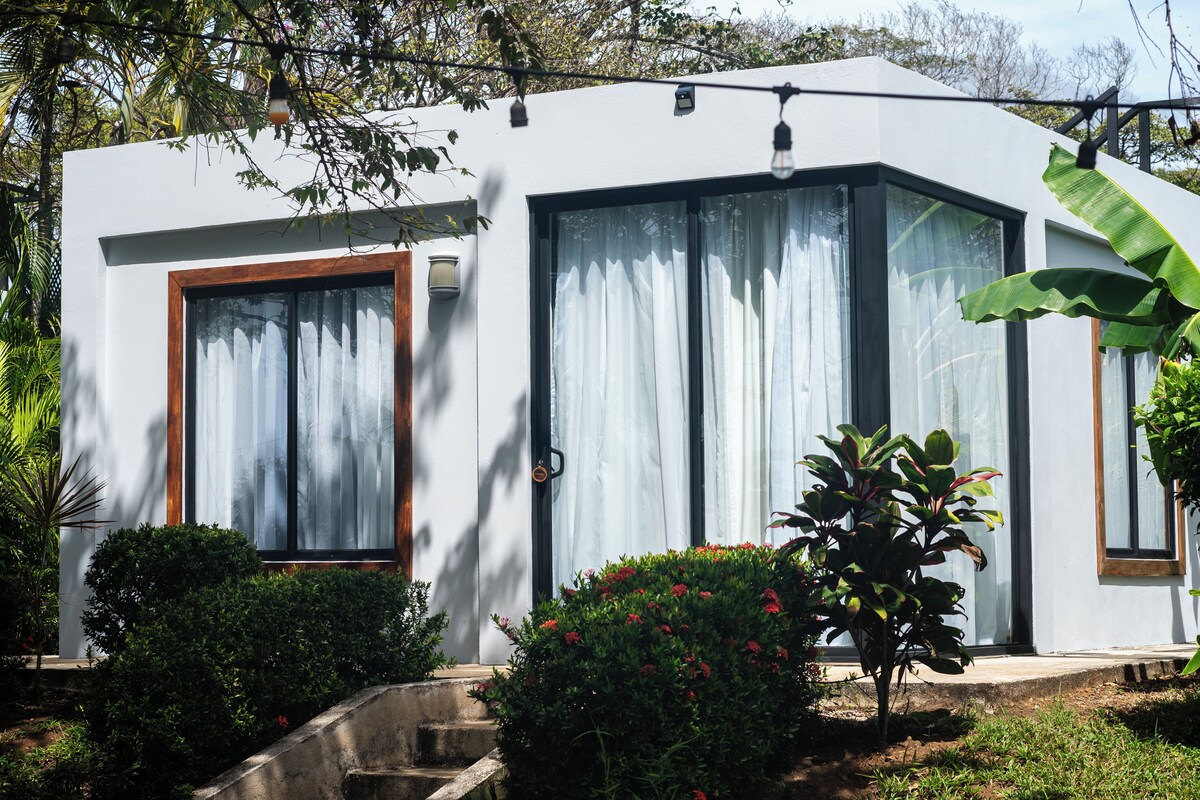 A modern house with large windows, a wooden door, and a small garden with plants and a bench.