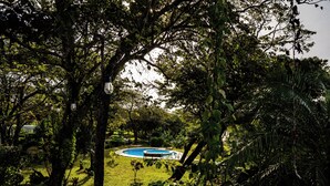 Une piscine circulaire entourée d’une végétation luxuriante et d’arbres.