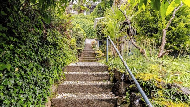 A stone staircase surrounded by lush greenery, leading to a building.
