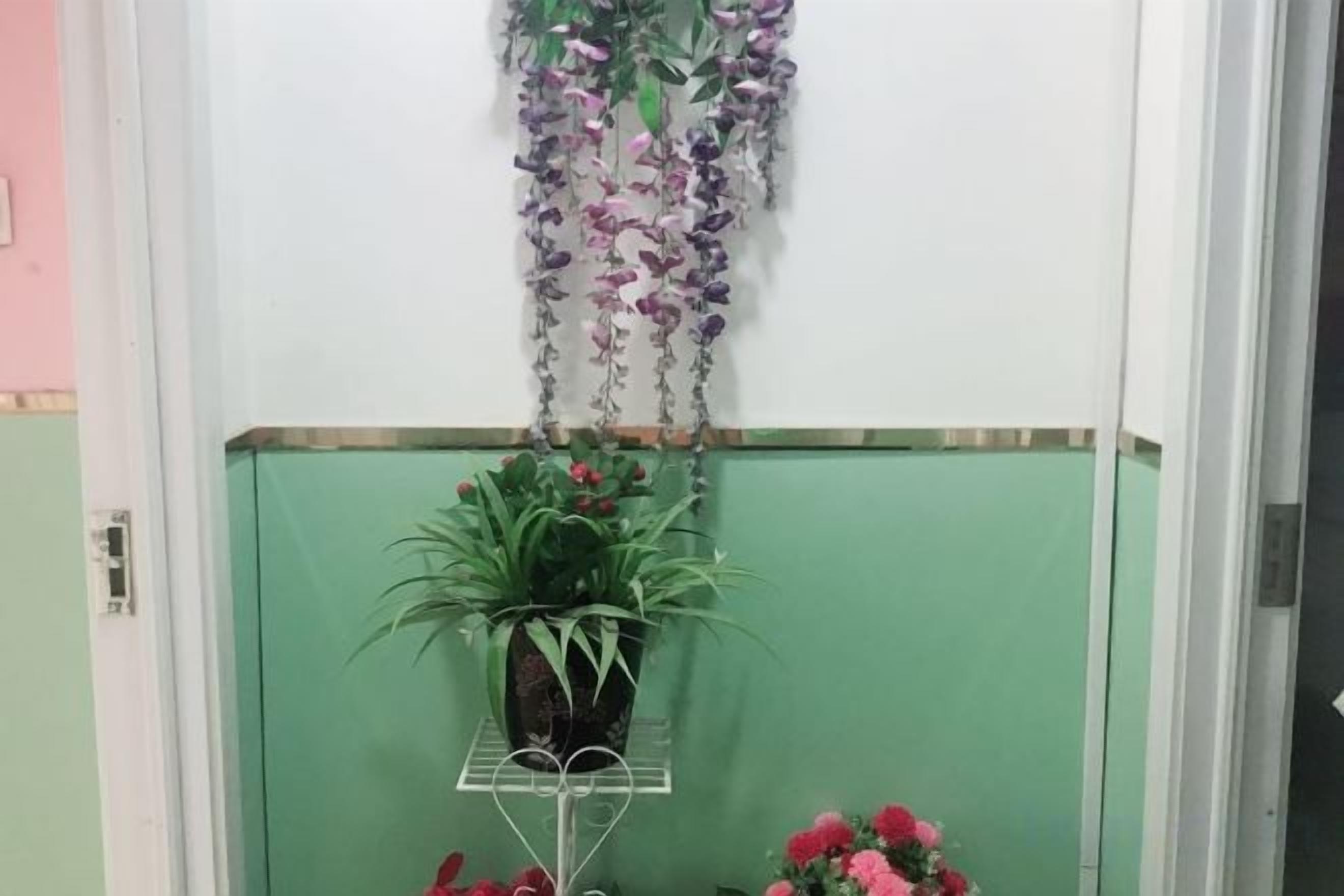 A room with a green wall, a potted plant on a shelf, and a hanging floral arrangement.