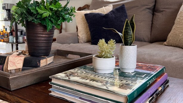 Een gezellige woonkamer met een bijzettafeltje waarop boeken en planten staan.