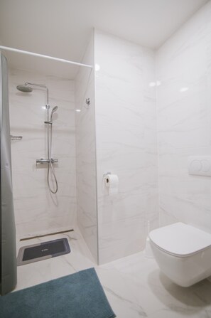 Douche, séchoir à cheveux, pantoufles, serviettes fournies