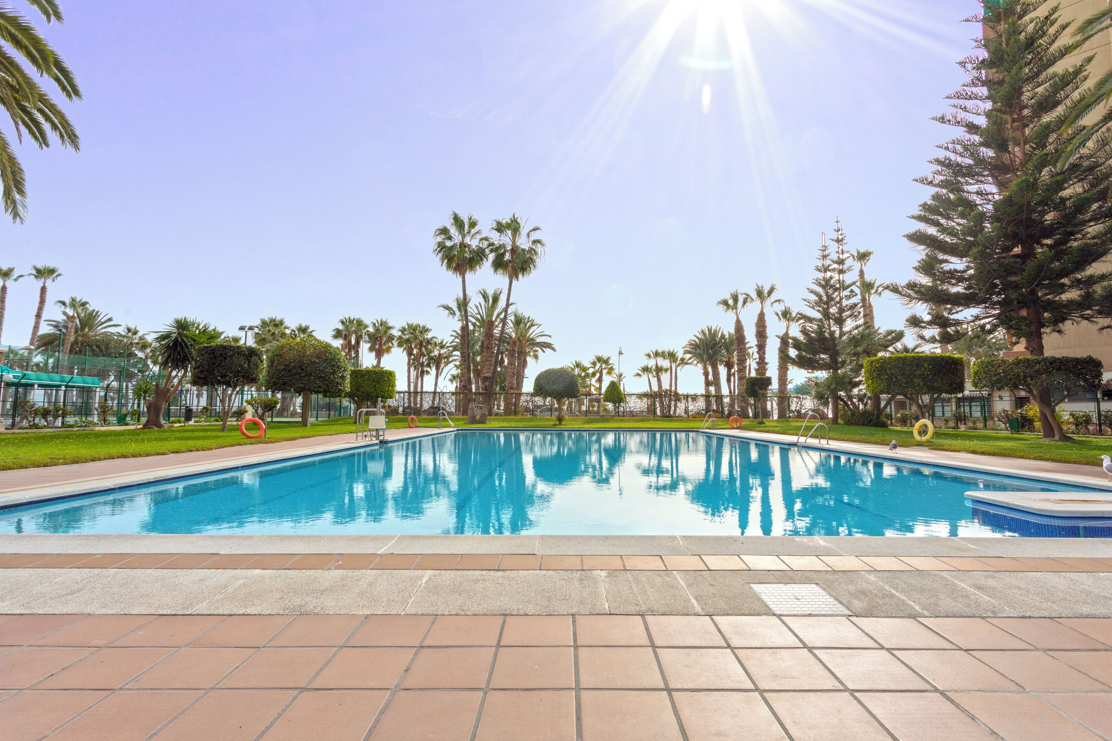 A swimming pool with clear blue water, surrounded by palm trees and a tiled deck.