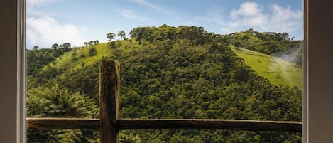 Vista a través de una ventana que muestra un paisaje verde exuberante y una valla de madera en primer plano.