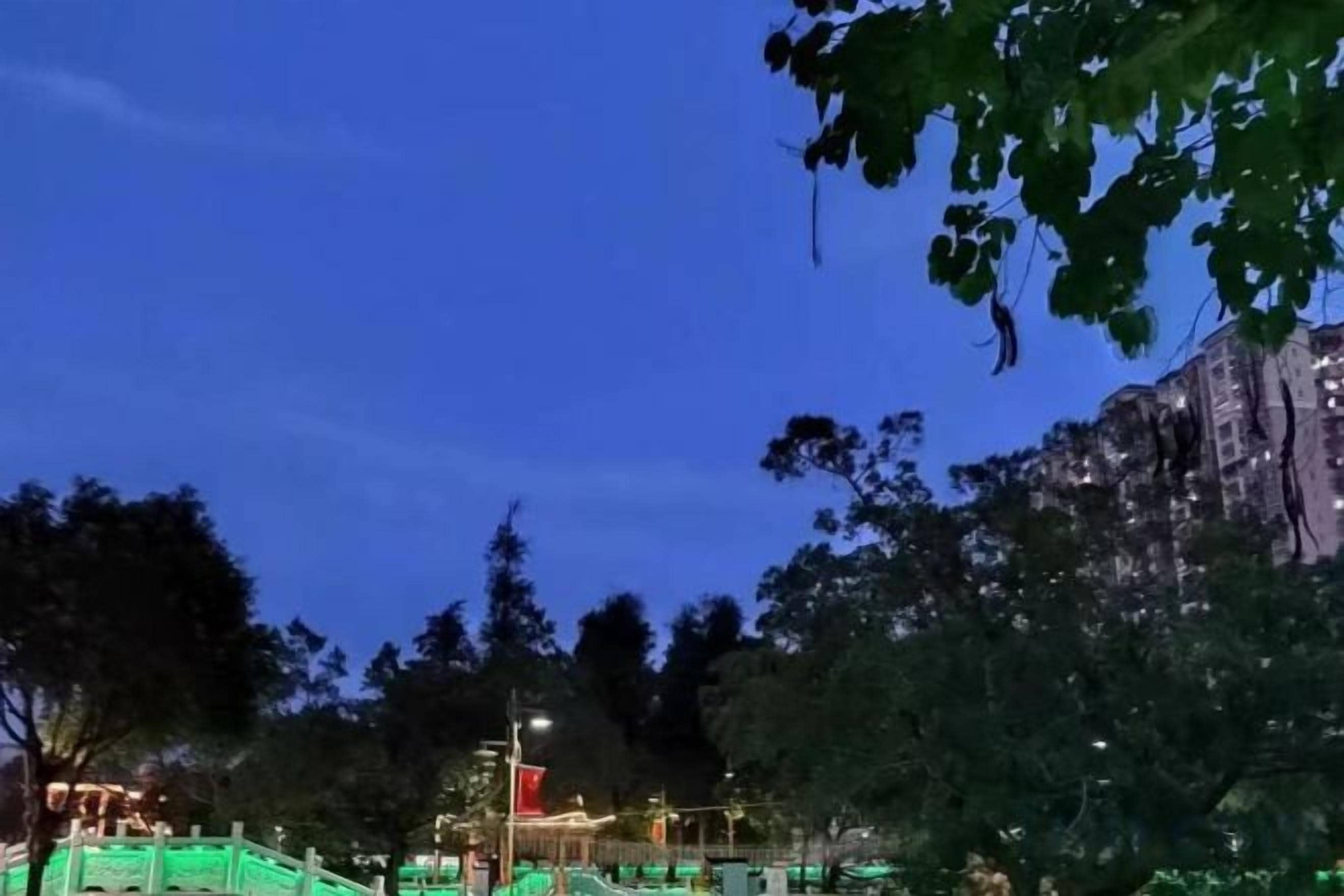 A nighttime view of a park with a bridge and trees.
