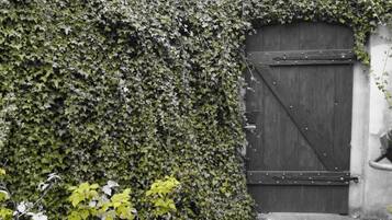 تفاصيل الفندق من الخارج