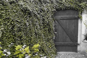 Exterior detail - Młynarzowy Dworek (Gdynia)