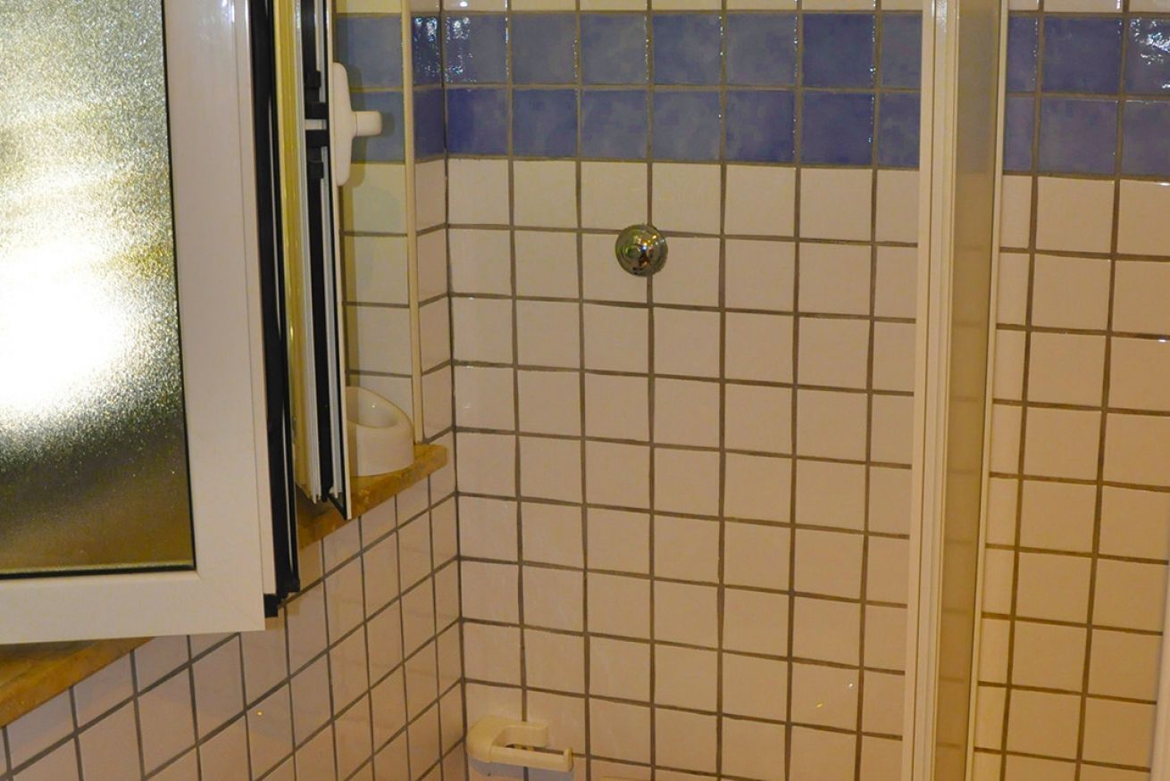 Une salle de bain avec une douche carrelée, des toilettes et une porte en verre.