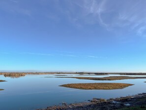 未分类图片，第 3 张，共 17 张，按钮