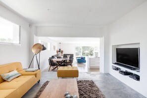 Smart TV, fireplace, video games, DVD player