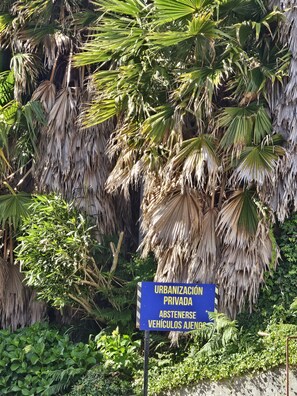 Dettaglio esterni