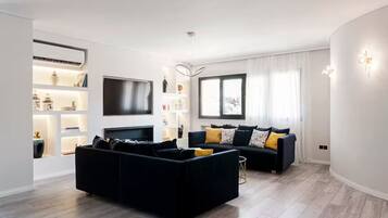 Smart TV, fireplace, books