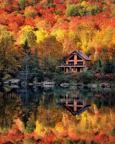 An enchanting wooden chalet for a relaxing stay in the heart of nature.