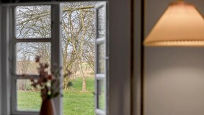 A window with a view of a tree and a grassy field.