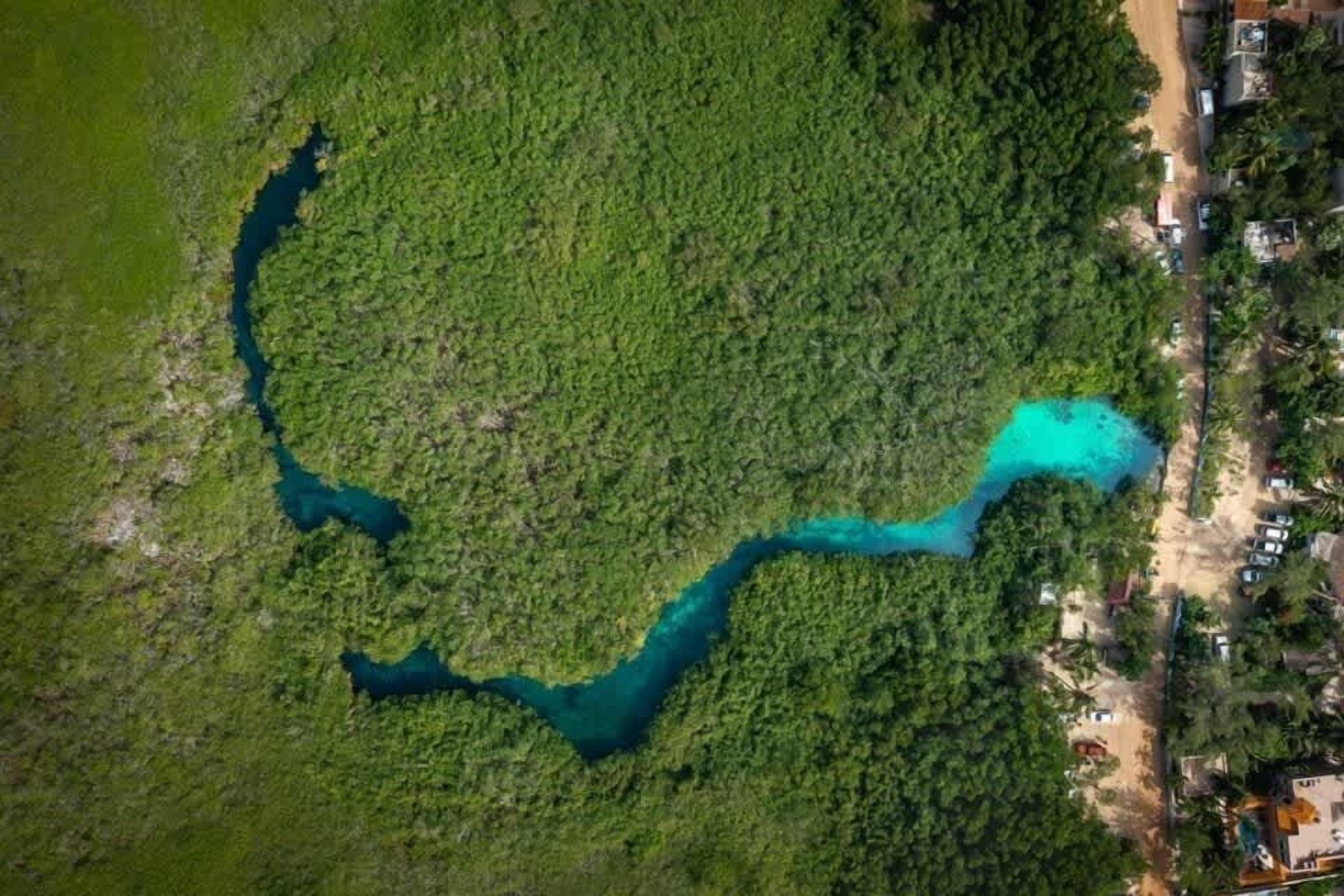 An aerial view of a coastal area with dense green vegetation and a winding river.