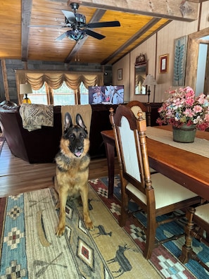 Relax in this inviting living room with a comfortable sofa, dining table, and TV, perfect for unwinding with a pet by your side.