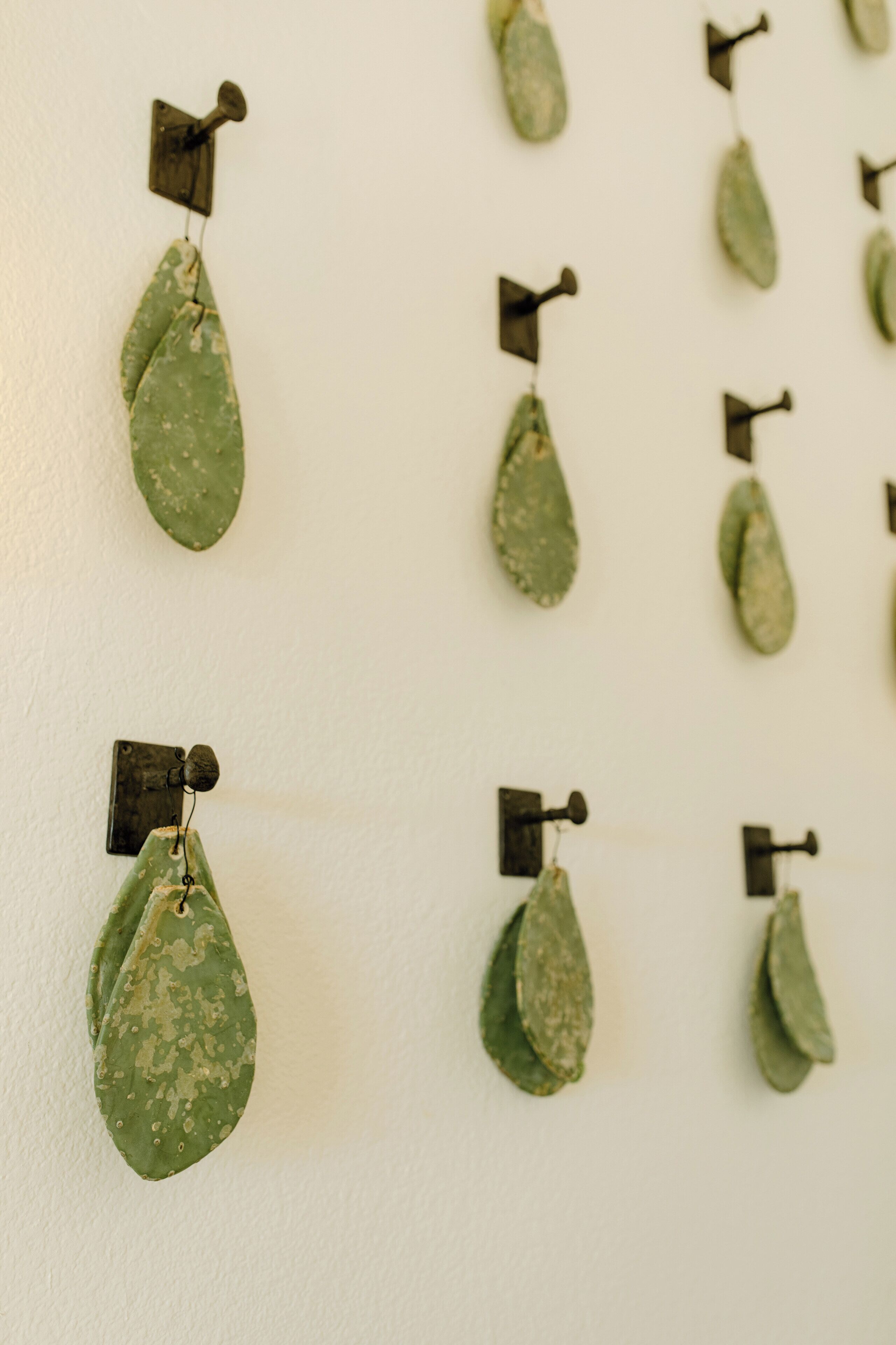 Un mur orné de nombreux pendants d’oreilles en forme de feuilles vertes, suspendus à des crochets noirs.