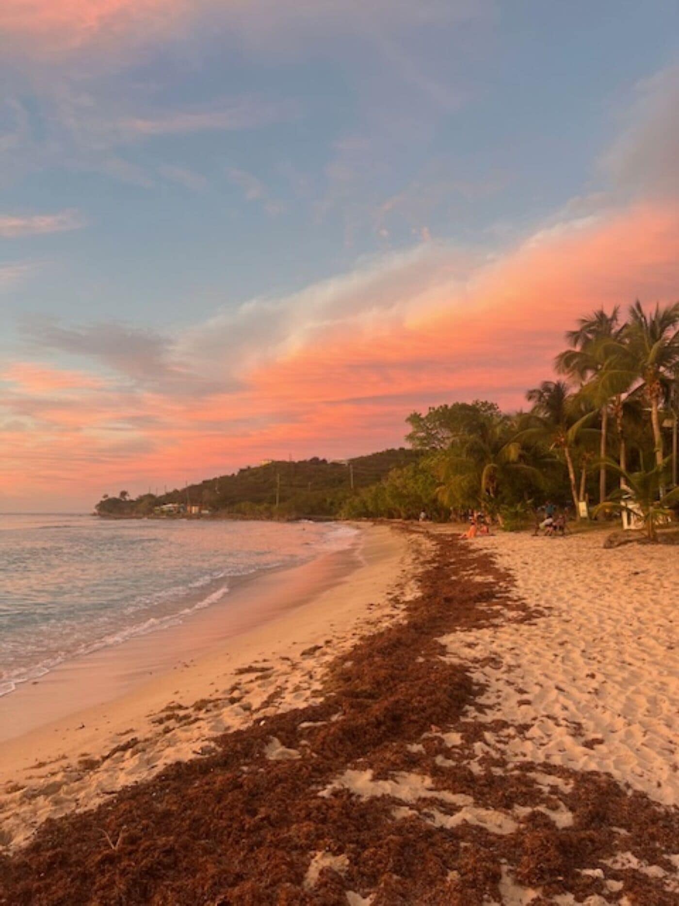 A beach with a sandy shore and seaweed, palm trees, and a sunset sky.