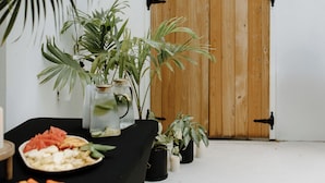A modern interior with a wooden door, potted plants, and a black chair. - The Cove Hotel St.Croix  (Christiansted)