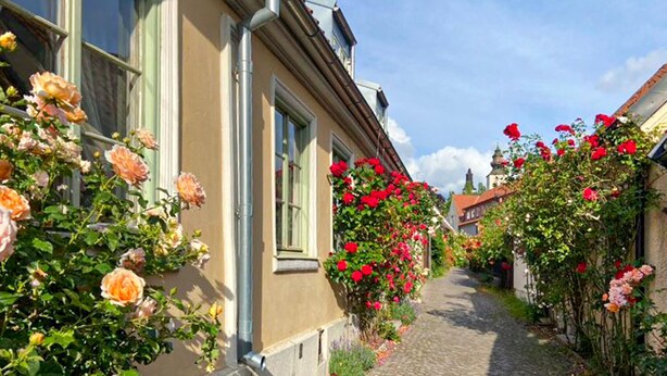 A cobblestone street lined with buildings adorned with flowering plants. - Awesome home in Visby innerstad (Visby innerstad)