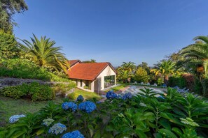 Área da propriedade