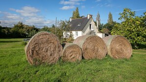 Heuballen auf einer grünen Wiese, im Hintergrund ein Haus.