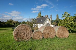Área da propriedade