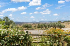 Property grounds - Farmhouse 'Cuaddus E Tellas- Room 1' with Shared Garden, Wi-Fi and Air Conditioning (Genoni)