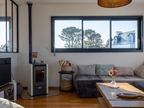 Televisie, een open haard en een tafeltennistafel