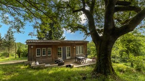 Una cabaña de madera con un porche, rodeada de abundante vegetación y un gran árbol.