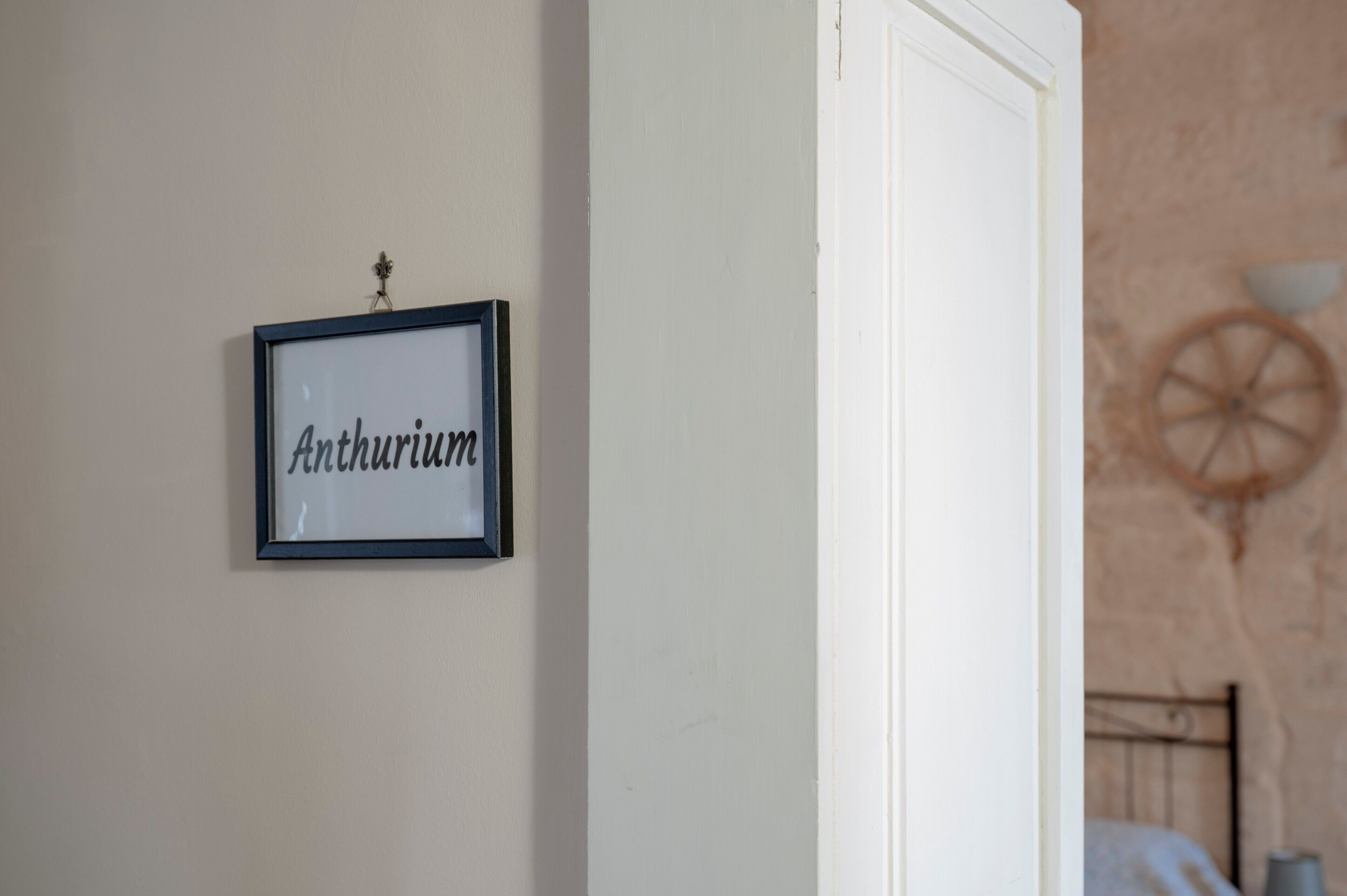 A framed sign with the name 'Anthurium' on a wall, a white door, and a bed with a metal frame.