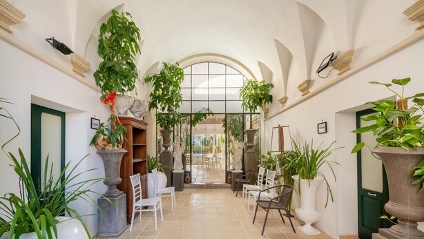 An indoor corridor with arched ceilings, potted plants, and seating areas.