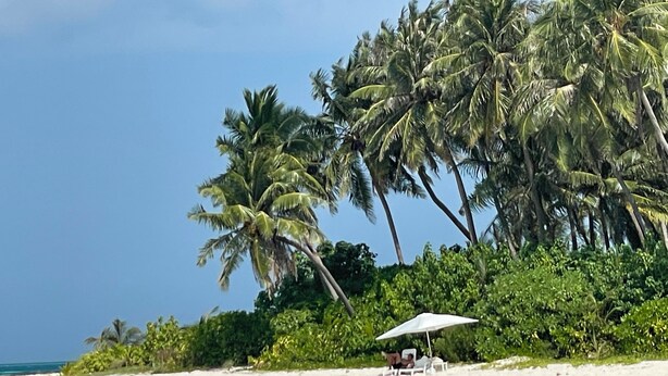 A beach with white sand, clear turquoise water, and palm trees. There is a white umbrella and a lounge chair on the sand. - Mandhoo Inn (Mandhoo)