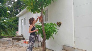 A person painting a tree in a residential area with a white garage and a heart-shaped decoration on the wall. - 1 Bed in Shared Dorm - Backpackers Hoatel Montego Bay AC, Fan & hot water (Montego Bay)